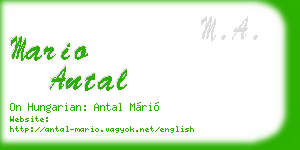 mario antal business card